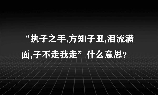 “执子之手,方知子丑,泪流满面,子不走我走”什么意思？