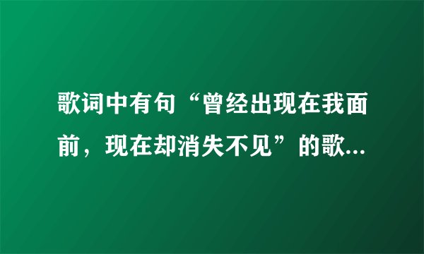 歌词中有句“曾经出现在我面前，现在却消失不见”的歌叫什么名字