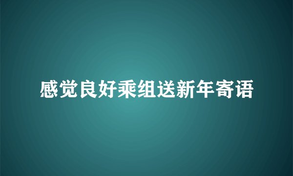 感觉良好乘组送新年寄语