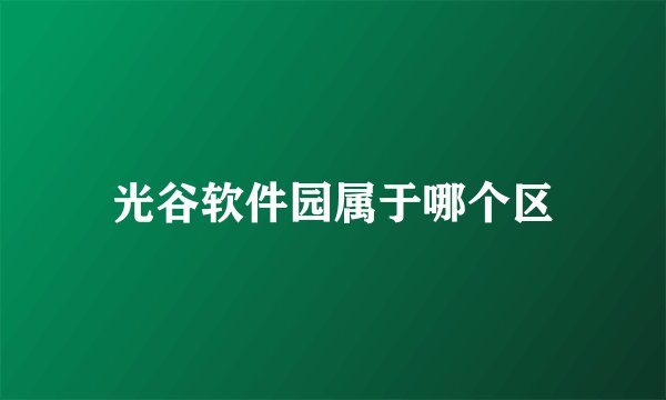 光谷软件园属于哪个区