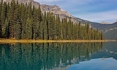 世界上第二大的国家是哪个国家?