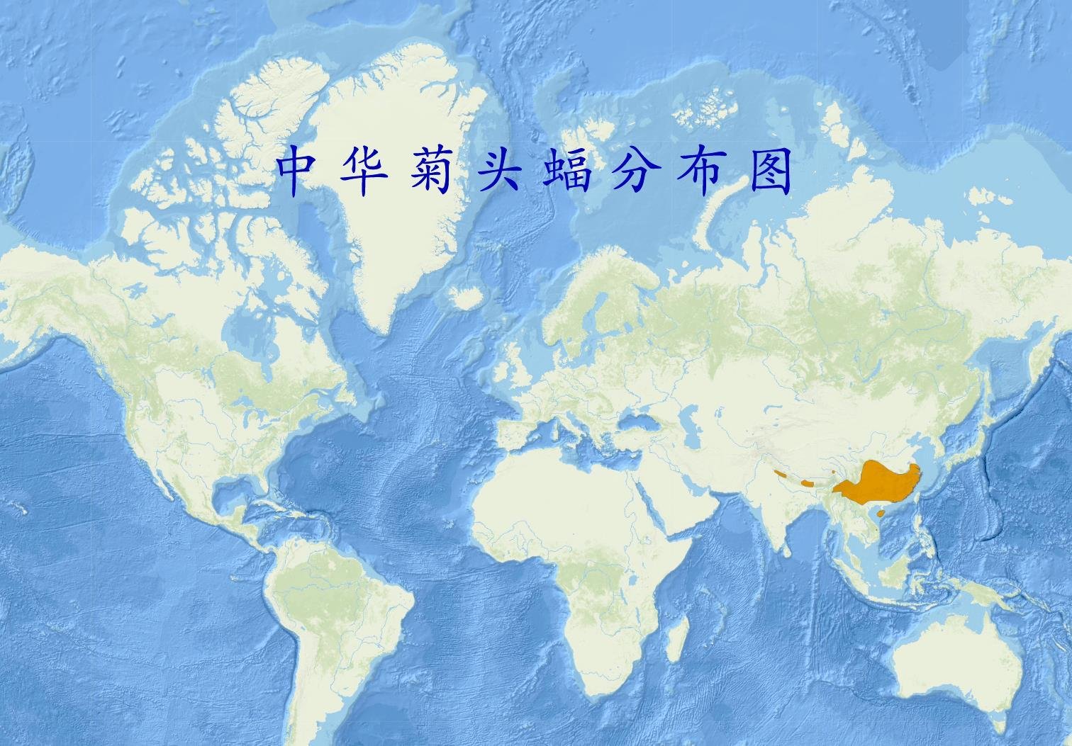 菊头蝠携带了那么多病毒为何没事，是以毒攻毒吗