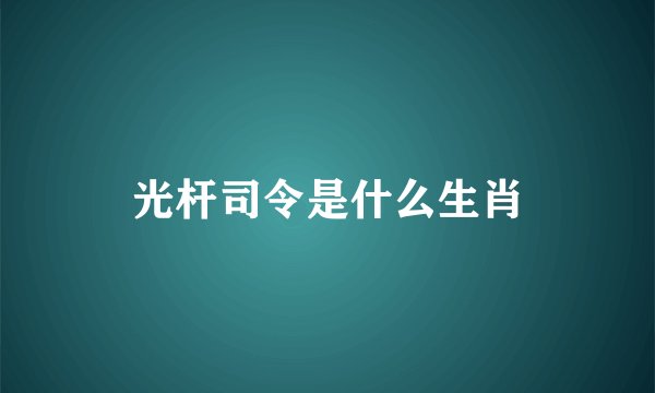 光杆司令是什么生肖