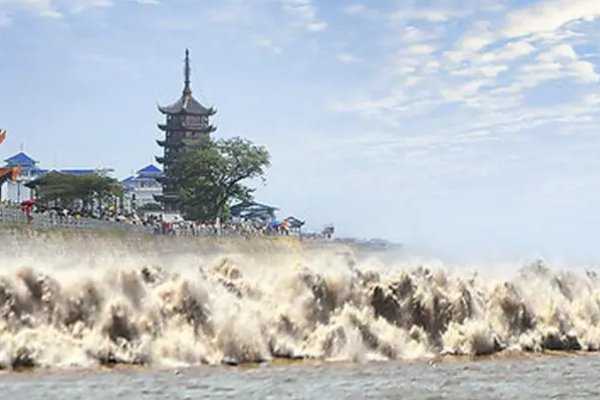 八月十八是什么日子