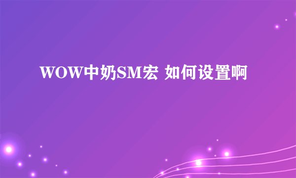 WOW中奶SM宏 如何设置啊