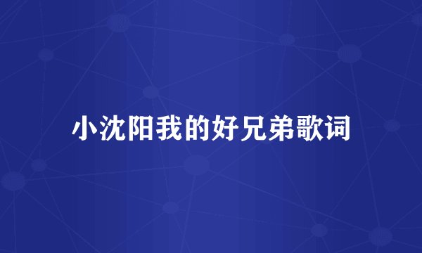 小沈阳我的好兄弟歌词