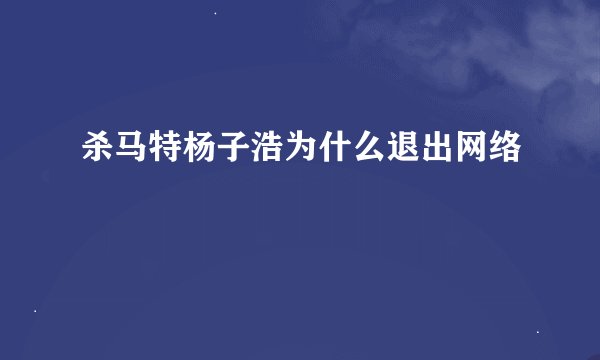 杀马特杨子浩为什么退出网络