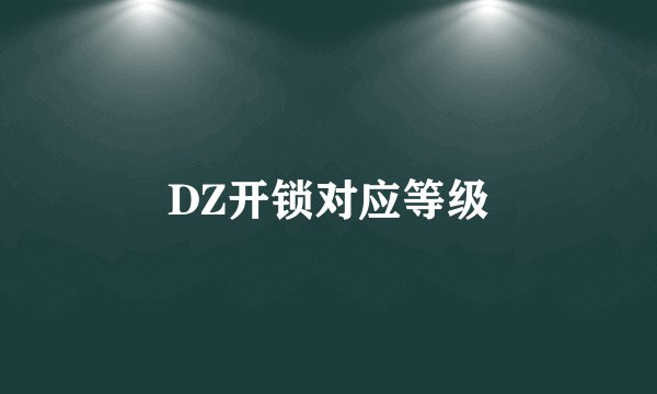 DZ开锁对应等级