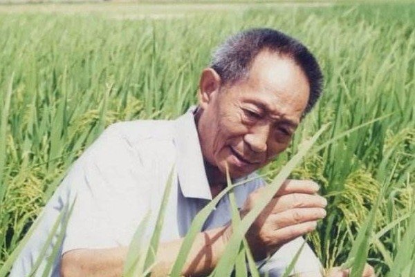 称为杂交水稻之父的袁隆平，他在国际上的名声和地位如何？