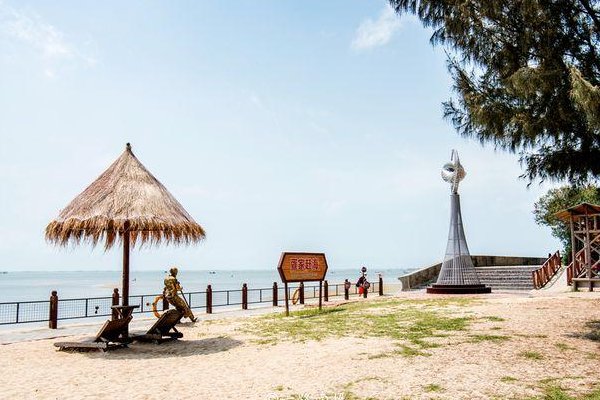 如何看待广西北海红树林大片消失？