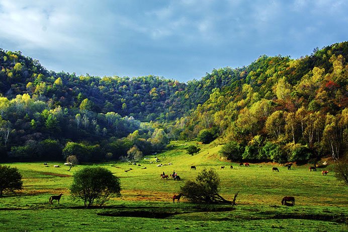 中国西部十二个省区的名称是什么？