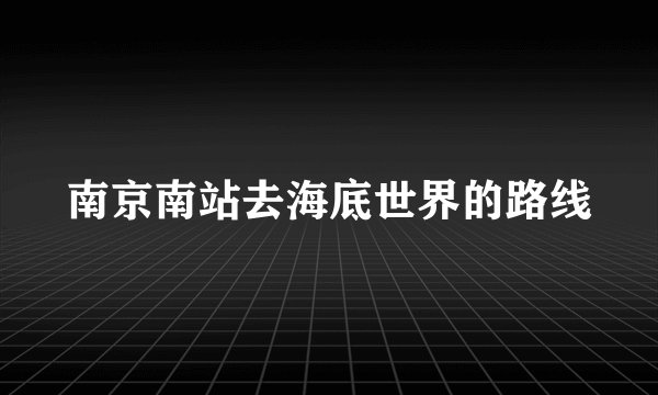 南京南站去海底世界的路线