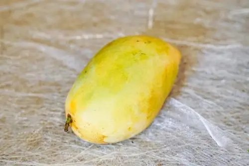 两颗芒果卖到1.2万元，这属于物超所值吗？