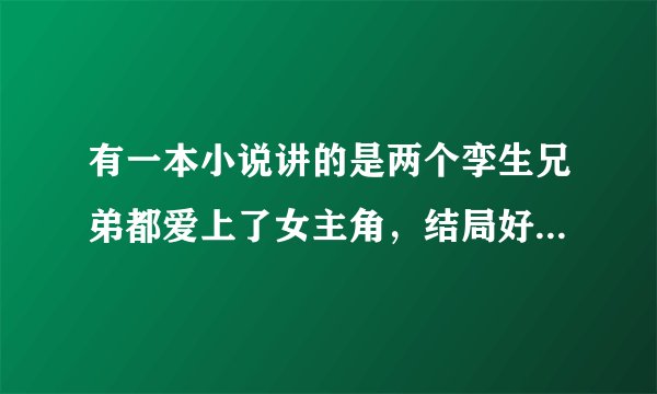 有一本小说讲的是两个孪生兄弟都爱上了女主角，结局好像是女主角生下了男主角的孩子，然后又相遇了，过程