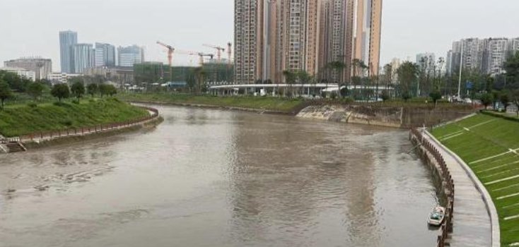 下河救狗男孩遗体被找到，男孩救狗溺亡是否构成见义勇为？