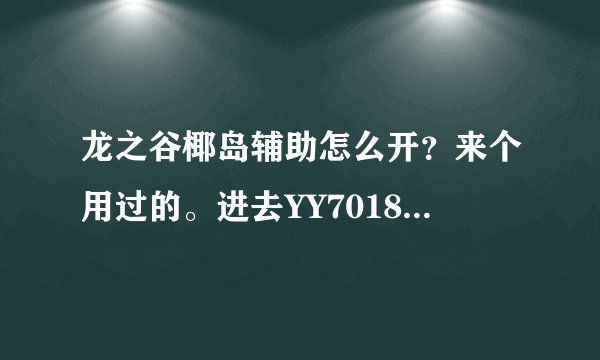 龙之谷椰岛辅助怎么开？来个用过的。进去YY7018频道后然后怎么做？把详细步骤讲下，谢了！