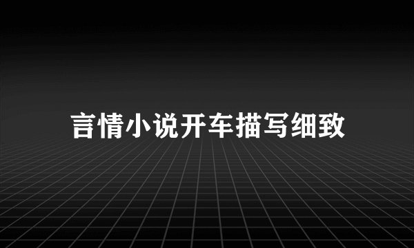 言情小说开车描写细致
