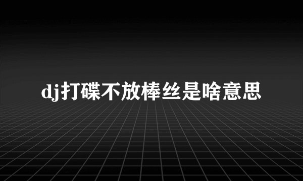dj打碟不放棒丝是啥意思