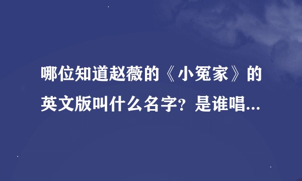 哪位知道赵薇的《小冤家》的英文版叫什么名字？是谁唱的？先谢谢啦
