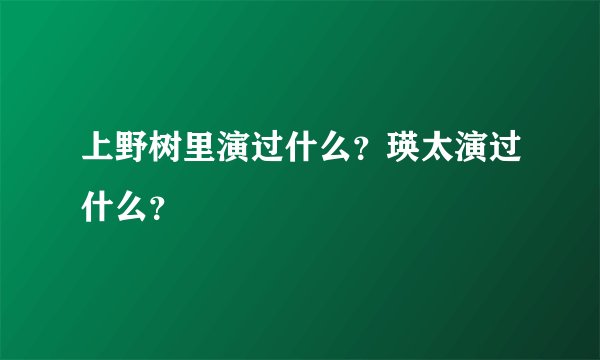 上野树里演过什么？瑛太演过什么？