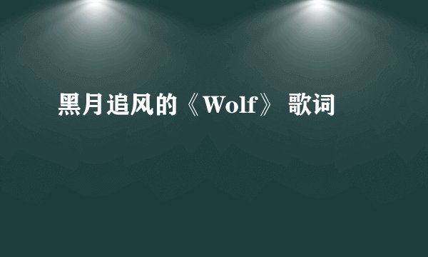 黑月追风的《Wolf》 歌词