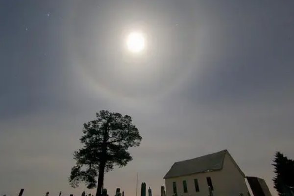 月晕主风是什么生肖