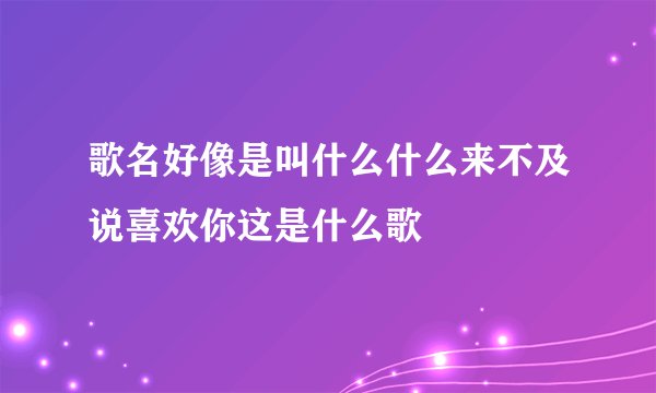 歌名好像是叫什么什么来不及说喜欢你这是什么歌