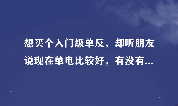 想买个入门级单反，却听朋友说现在单电比较好，有没有专业人士指导一下，两者的区别和哪个更具可买性？