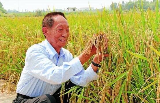 谁能帮我简单的写一下袁隆平的生平事迹，200字左右