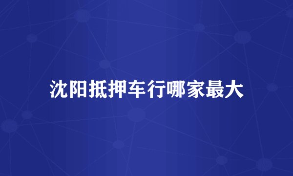 沈阳抵押车行哪家最大