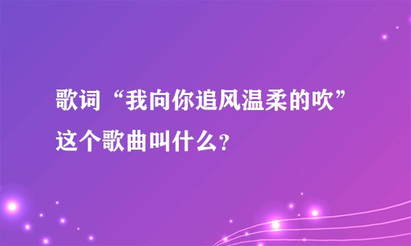 歌词“我向你追风温柔的吹”这个歌曲叫什么？