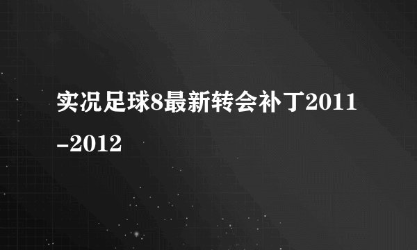 实况足球8最新转会补丁2011-2012
