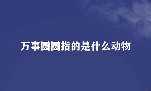 万事圆圆指的是什么动物