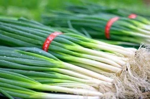 大葱价格腰斩，但有一小撮种植户收入没受影响，是怎么回事？