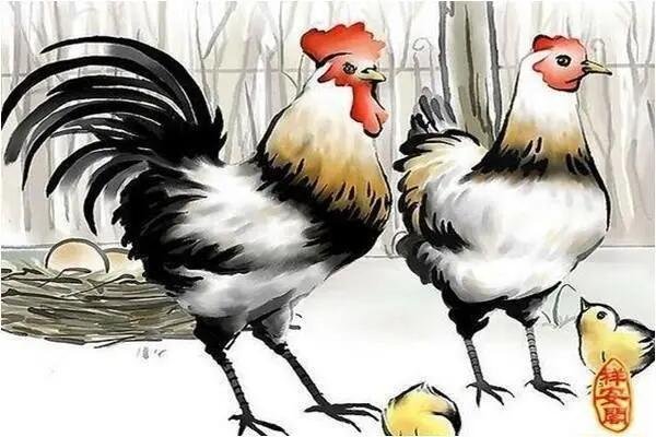 月光溢洒打一准确生肖