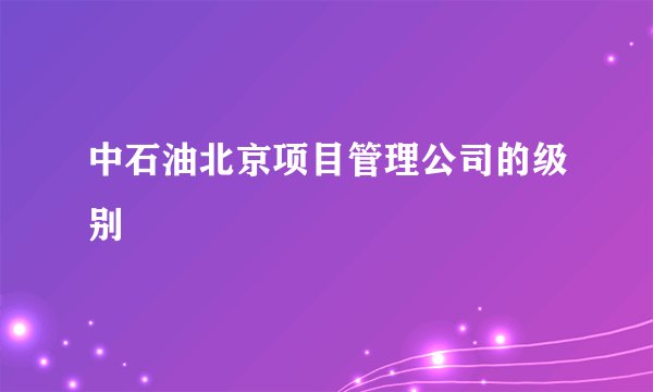 中石油北京项目管理公司的级别