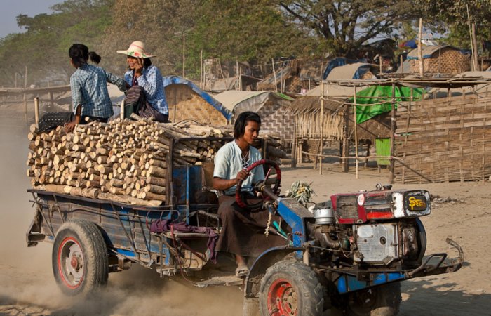 农民做什么事能致富