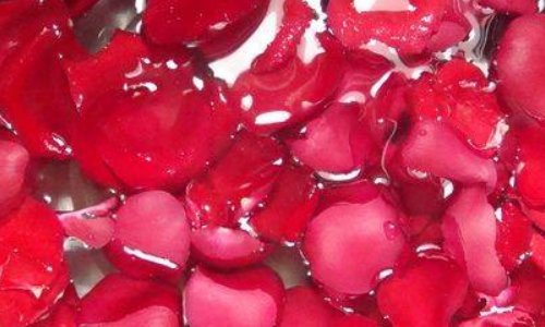 如何晒玫瑰花干