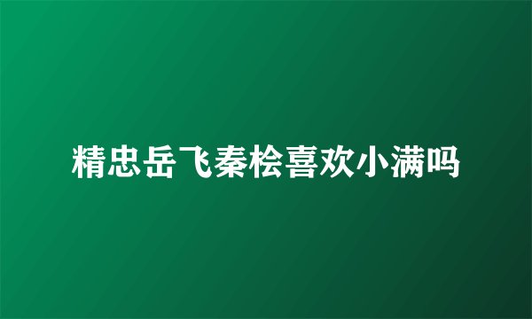 精忠岳飞秦桧喜欢小满吗