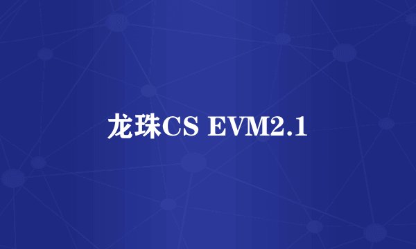 龙珠CS EVM2.1