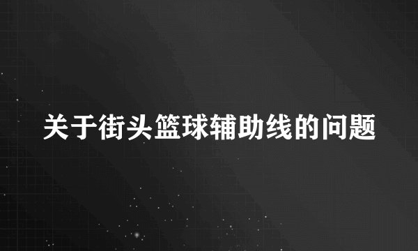 关于街头篮球辅助线的问题