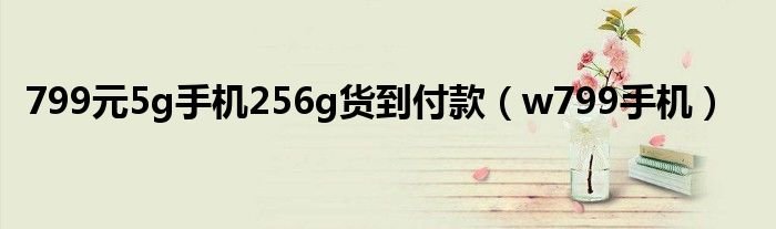 799元5g手机256g货到付款w799手机