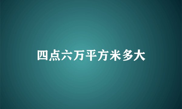 四点六万平方米多大