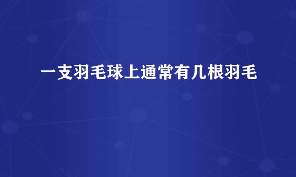 一支羽毛球上通常有几根羽毛