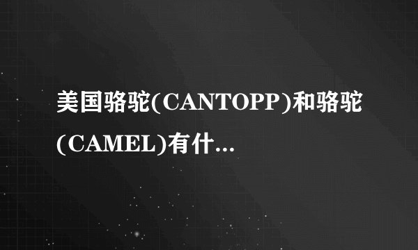 美国骆驼(CANTOPP)和骆驼(CAMEL)有什么区别?谢谢