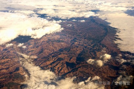 YY语音五项都什么规矩？