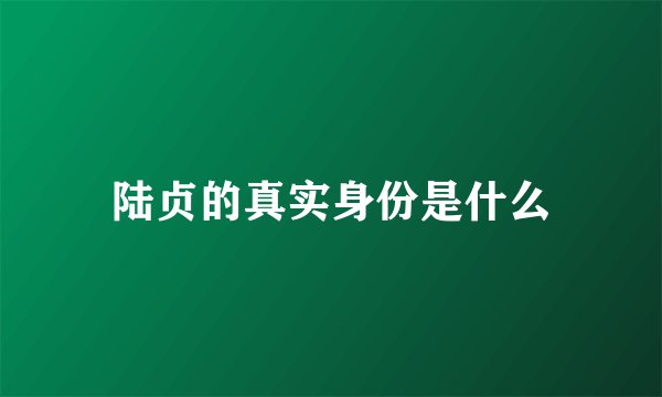 陆贞的真实身份是什么