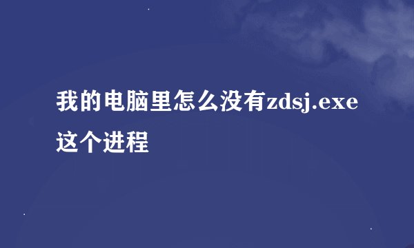 我的电脑里怎么没有zdsj.exe这个进程