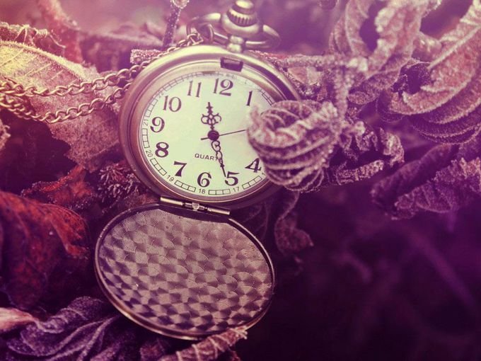 比生命更重要的是什么？