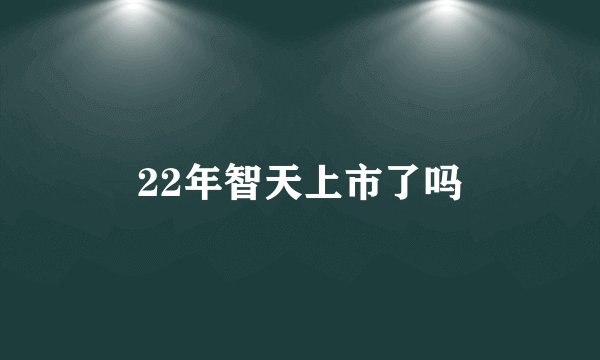 22年智天上市了吗